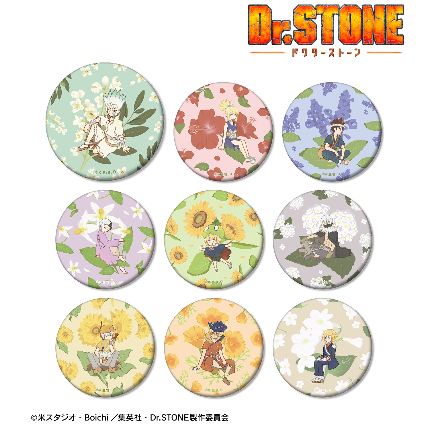 【Dr.STONE】トレーディング Botania マット缶バッジ(単位/単品)(全9種)